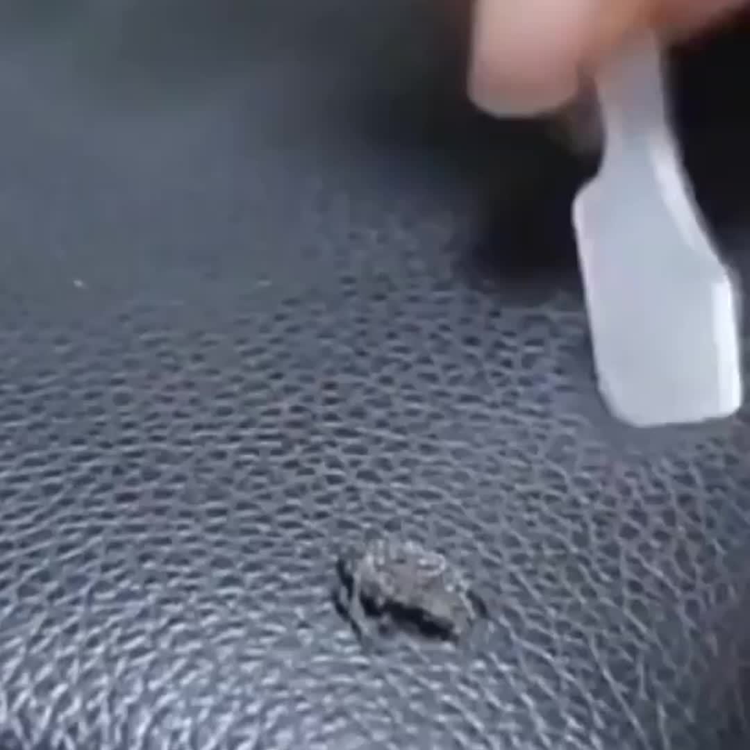 Leathix™ | Für strahlenden Glanz!