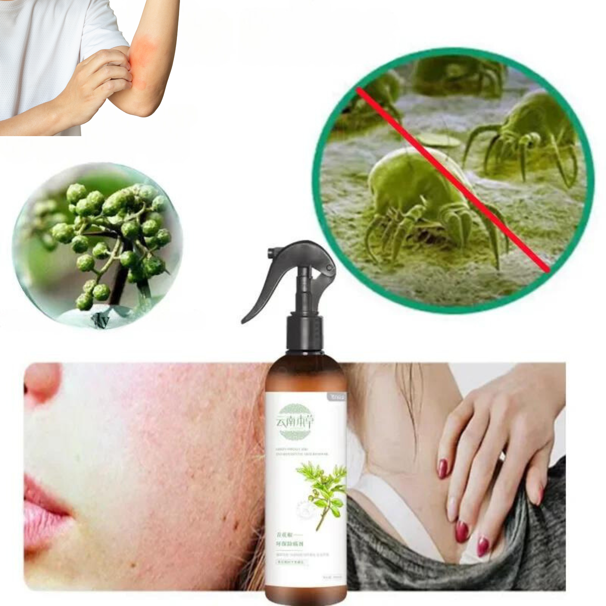 BugBlitz™ | 1 + 1 GRATIS